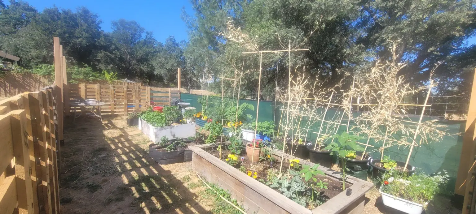 Porch Swing Farm garden filled with vegetables, flowers, raised beds, and black pepper buckets